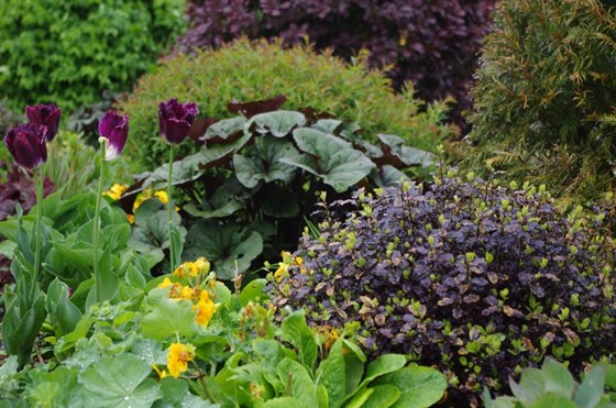 Garden Landscape Design Hertfordshire: Garden Landscape Design Hertfordshire