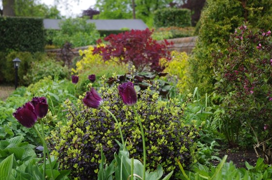 Garden Landscape Design Hertfordshire: Garden Landscape Design Hertfordshire