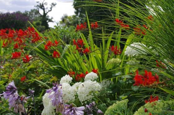 Garden Landscape Design Hertfordshire: Garden Design Barnet