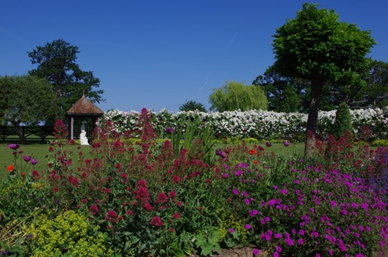 Garden Landscape Design Hertfordshire: Garden Design Barnet