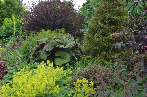 Garden Landscape Design Hertfordshire: Garden Design St Albans